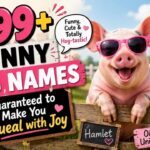 299-funny-pig-names-guaranteed-to-make-you-squeal-with-joy